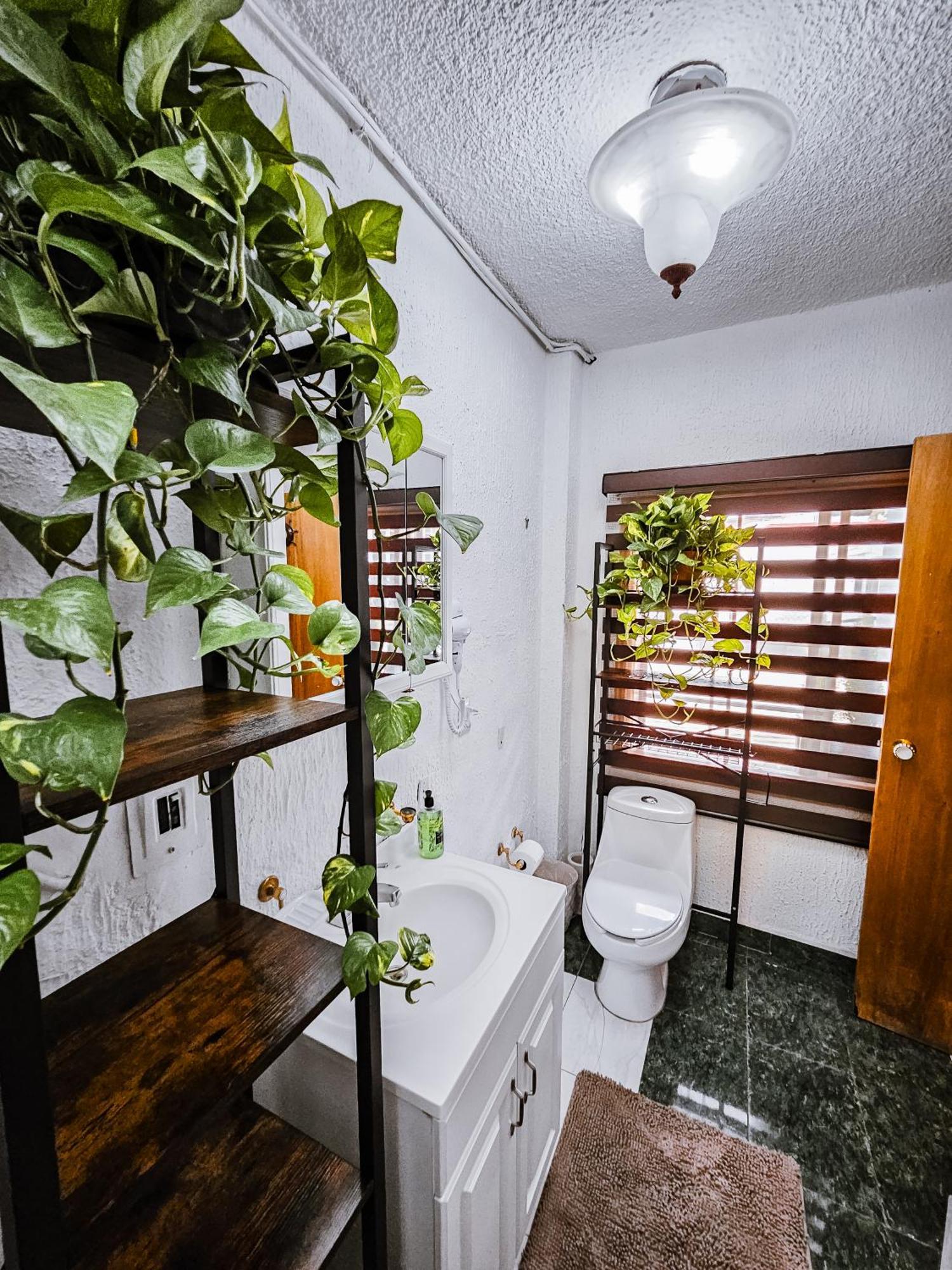Habitacion Con Bano Privado B, Centro De Coyoacan Kota Meksiko Bagian luar foto